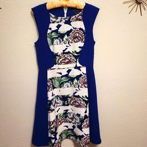 French Connection cobalt blue dress